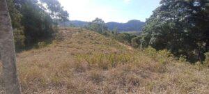 Terreno plano colado com a natureza