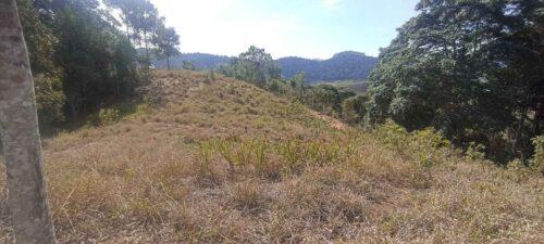 Terreno plano colado com a natureza