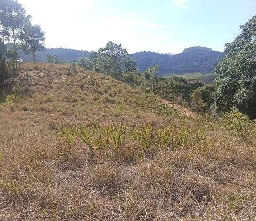 Terreno plano colado com a natureza